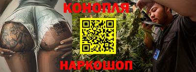 индика Малгобек