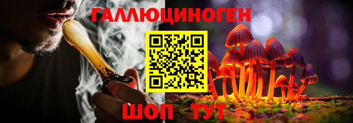 Псилоцибиновые грибы Psilocybe Чебоксары